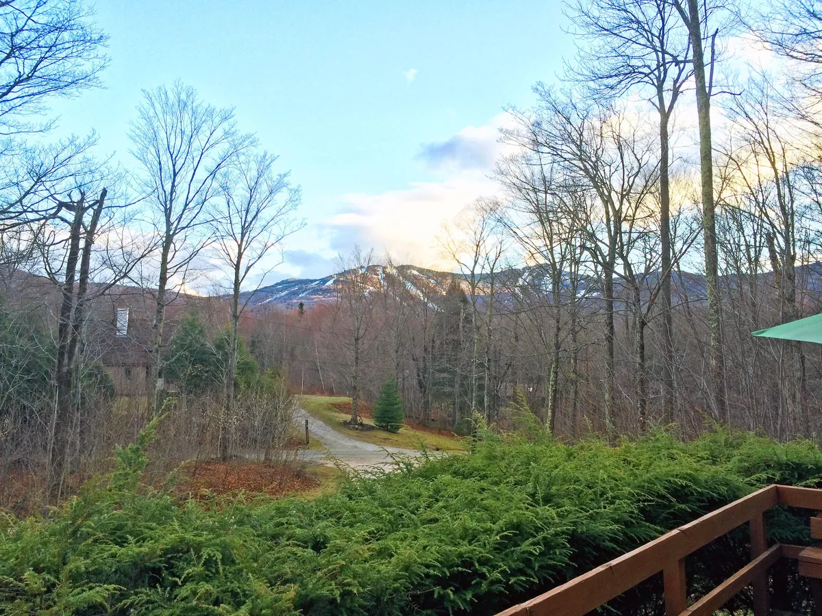 This image captures a peaceful, scenic view of mountains in the background, bare trees, and a road leading into the woods. The natural landscape invites exploration and highlights the area's access to hiking, nature walks, and year-round outdoor adventures.